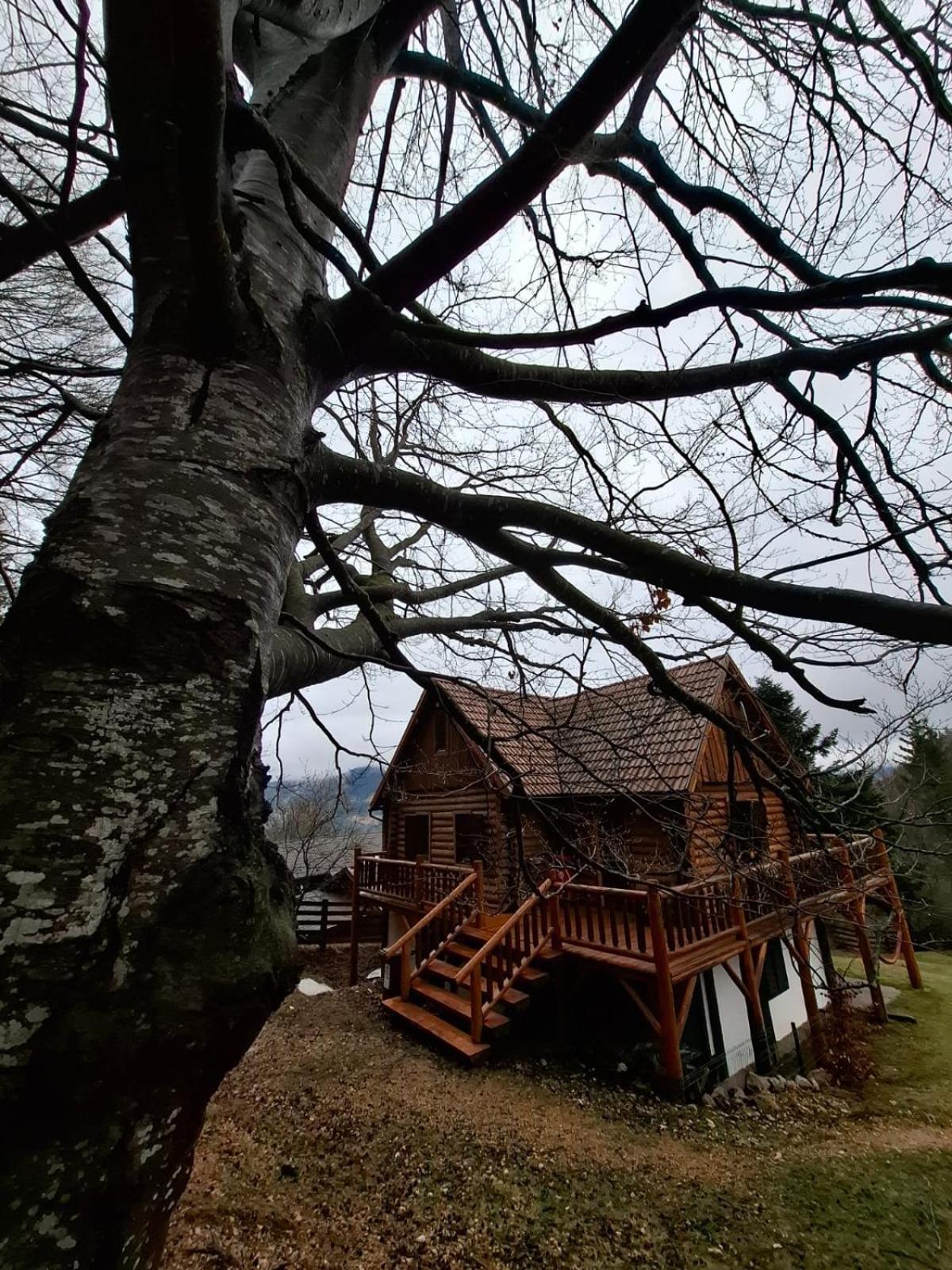 Veresko Villa Lacu Rosu Exterior photo